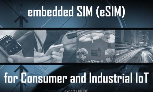 eSIM Ecosystem for Consumer and Industrial IoT